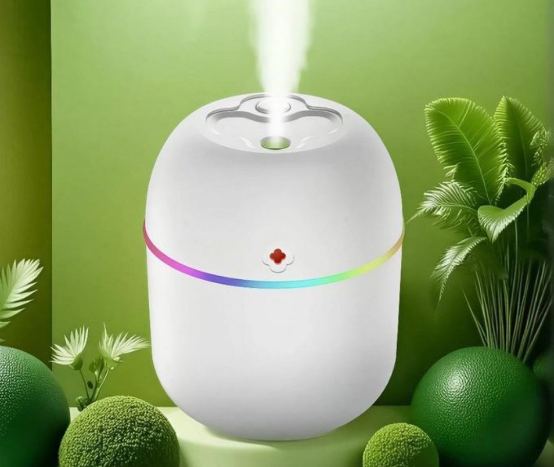Humidificateur Portable